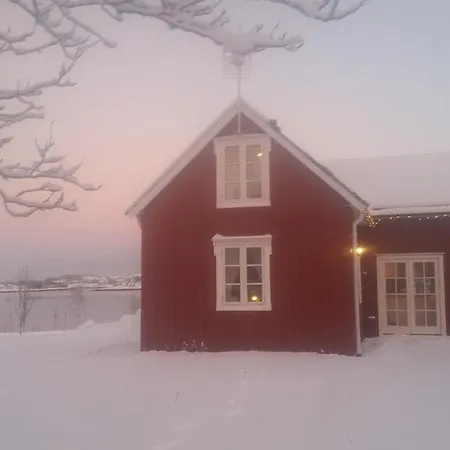 Rabben Lyngværet